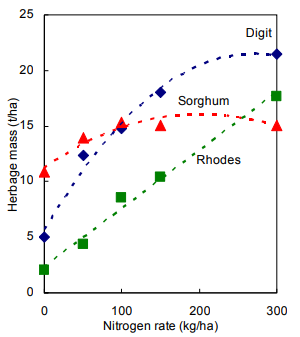 Figure 1: Responses of pasture species to applied nitrogen at Tamworth (left) and Chinchilla (right). Sources: Suzanne Boschma, NSW DPI, Tamworth, 2010 and Gentry et al, QDAF, 2016 (pers comm)