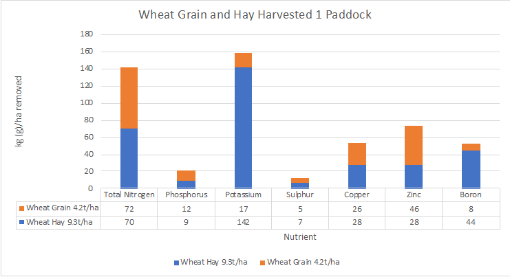 Figure 6