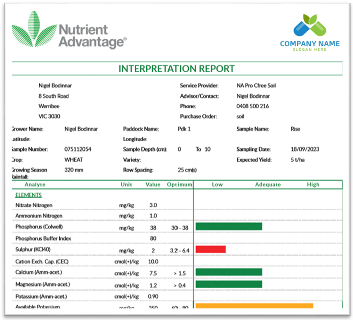 Interpretation report