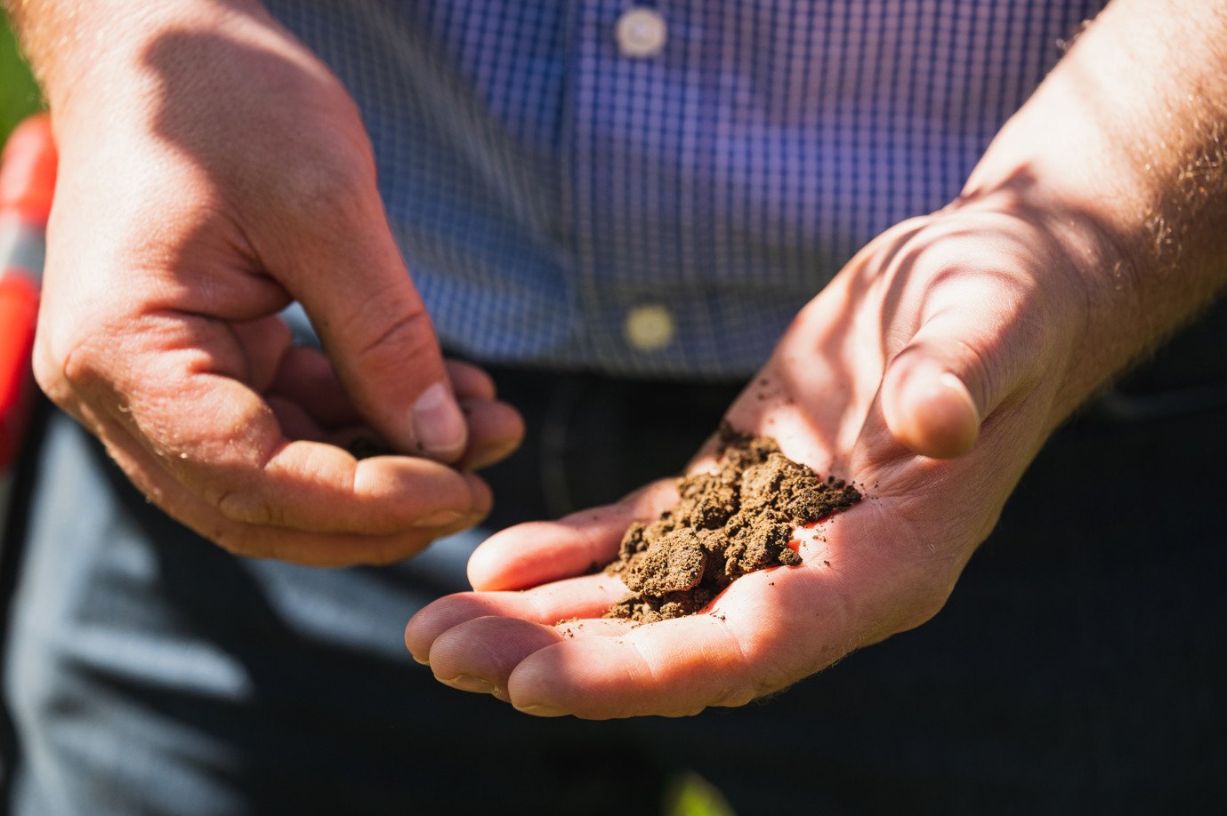 Soil in hand